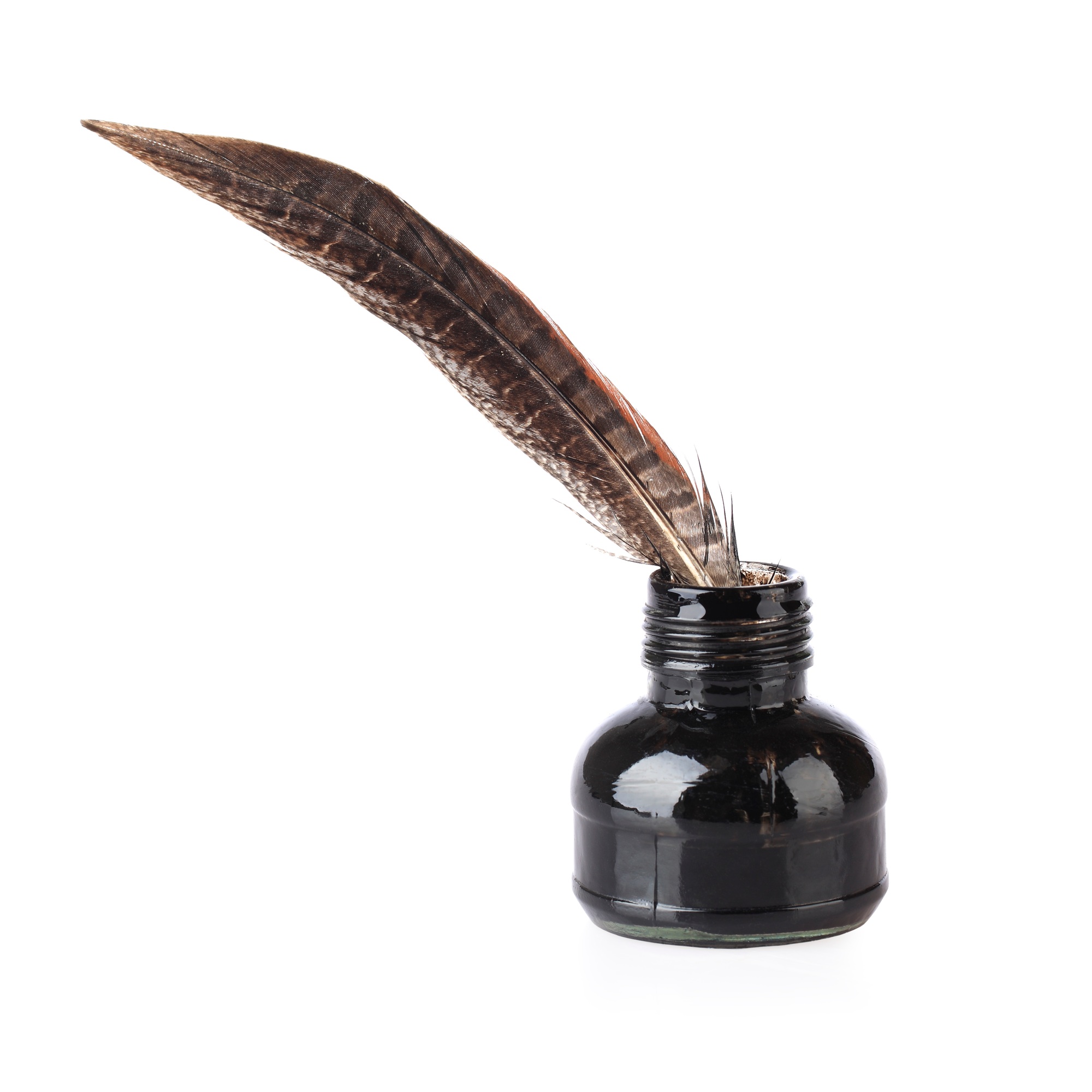 ink bottle and feathe